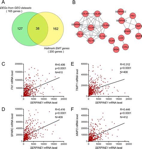 Identification Of Emt Related Genes Associated With Serpine In Gastric