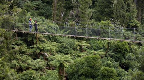 Ultimate Rotorua Zipline Canopy Tour