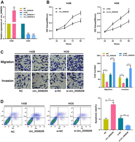 Aging Hsa Circ 0008259 Modulates MiR 21 5p And PDCD4 Expression To