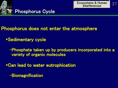 Biology 9th Ed Sylvia Mader Ppt Download