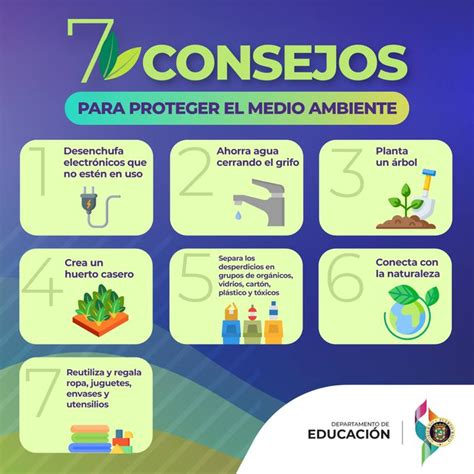 Consejos Para Maximizar Los Productos Y Conservar El Medio Ambiente