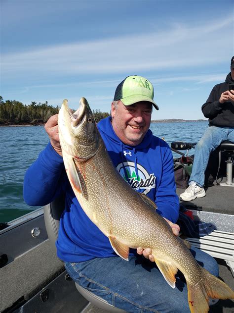 Superior Lake Trout In Depth Outdoors