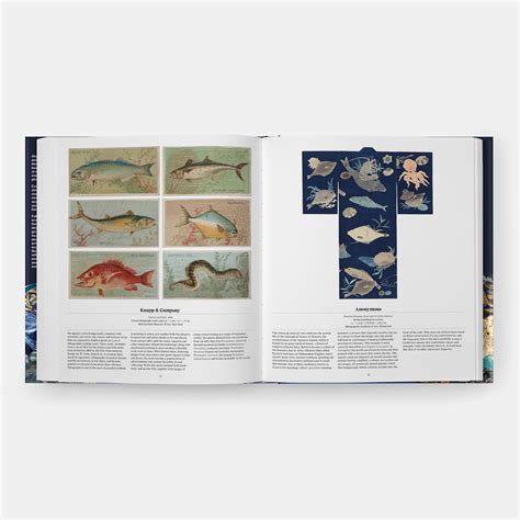 Ocean Exploring The Marine World By Phaidon Editors