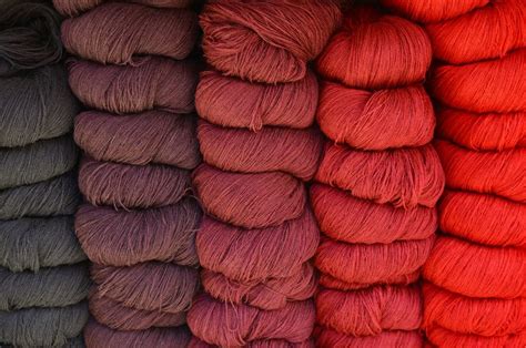 Some things you should know about Alpaca Yarn | Lyns Crafts