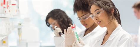 Quantos anos dura a Faculdade de Biologia? Descubra a duração