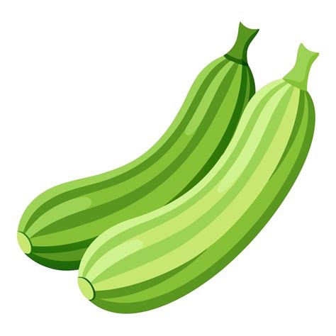 Zucchini Beans Vector Premium AI Generated Vector