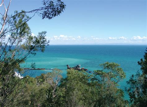 Moreton Bay | Islands, Wildlife, Marine Life | Britannica