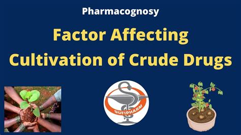 Factor Affecting Cultivation Of Crude Drugs Pharmacognosy Youtube