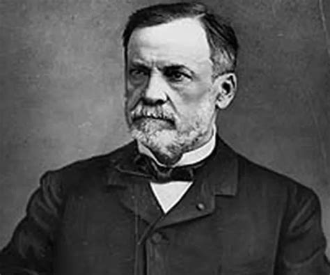 Louis Pasteur Pioneer In Microbiology And Medicine