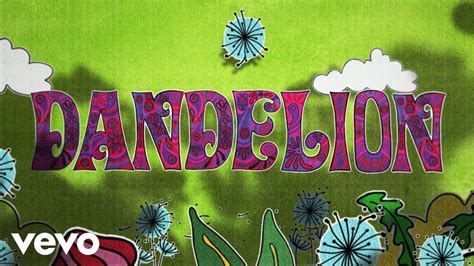 The Rolling Stones Dandelion Lyric Video Youtube Music