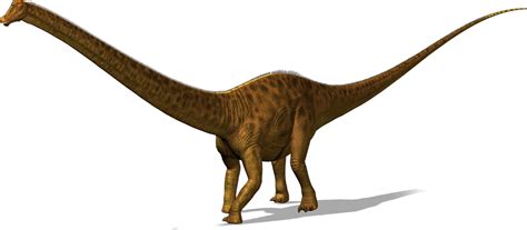 Diplodocus | Dinosaur Wiki | Fandom powered by Wikia