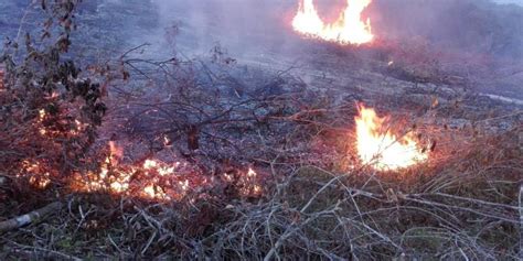 Incendios En Huila Devoran Más De 3 000 Hectáreas De Pastos