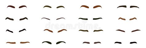 A Set of Female Eyebrows. Isolated Cartoon Eyebrows. Eyebrow Shaping ...