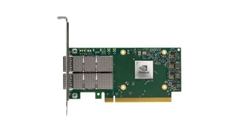 Nvidia英伟达connectx 网卡