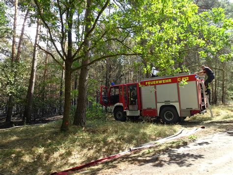 Waldbrand In Fichtenwalde Bei Potsdam Das Inferno Nebenan DER SPIEGEL