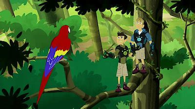 Watch Wild Kratts Season 19 Episode 3 - Parrot Power Online Now