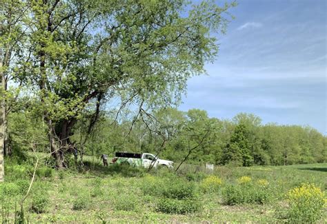 Restoration Resumes On Lone Tree Hill Belmont Citizens Forum