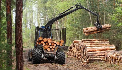 Global Wood Harvests Will Add To Billion Tonnes Of Co Yearly