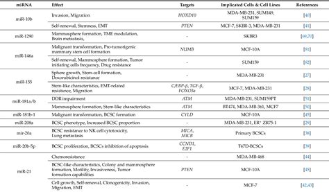 Table 1 From The Intricate Interplay Between Cancer Stem Cells And