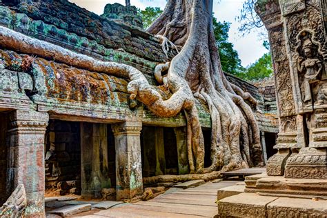 Angkor Wat Infos Tipps Zu Kambodschas Tempel Highlight