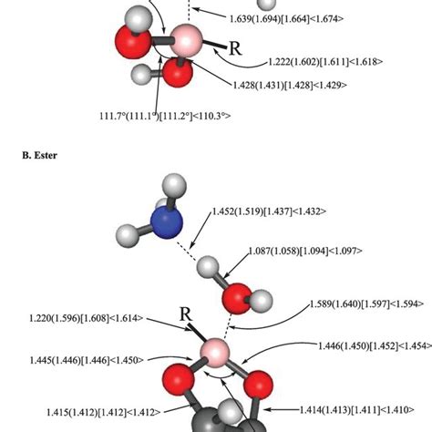 Selected bond lengths (Å) and bond angles (°) for A H3N→B(R)(OH)2 and B ...