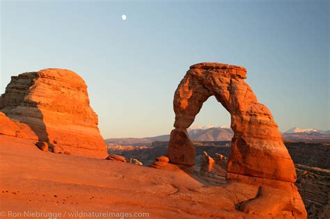 Delicate Arch | Arches National Park, Utah | Photos by Ron Niebrugge