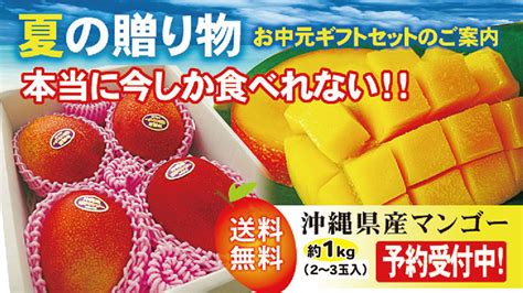 【先行予約販売！！ギフト用】特撰沖縄県産濃厚完熟アップルマンゴー約1kg 2玉3玉入り 【送料・代引手数料無料】 到着は7月初旬頃から