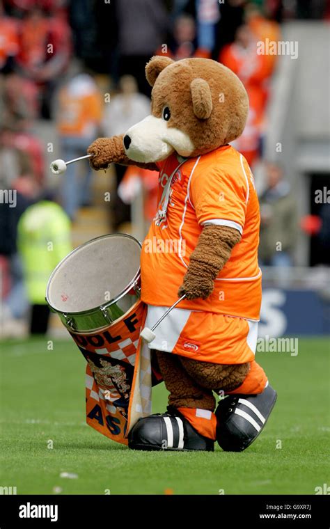 Blackpools Mascot Bloomfield Bear Bangs The Drum In The Warm Up To The