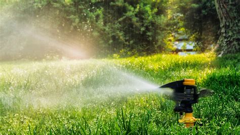 Best Impact Sprinklers Sprinkler Review