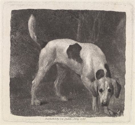 Chien Un Foxhound Sur La Piste George Stubbs