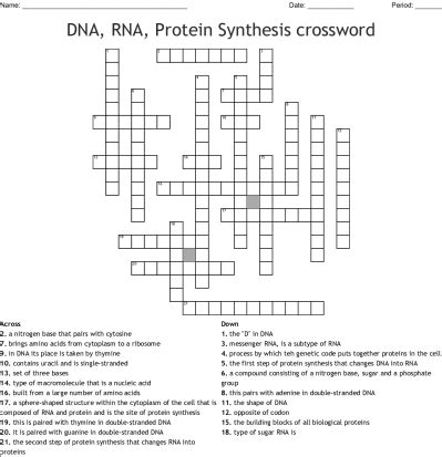 Modern Biology Skills Worksheet Dna Rna And Protein Synthesis - SkillsWorksheets.com