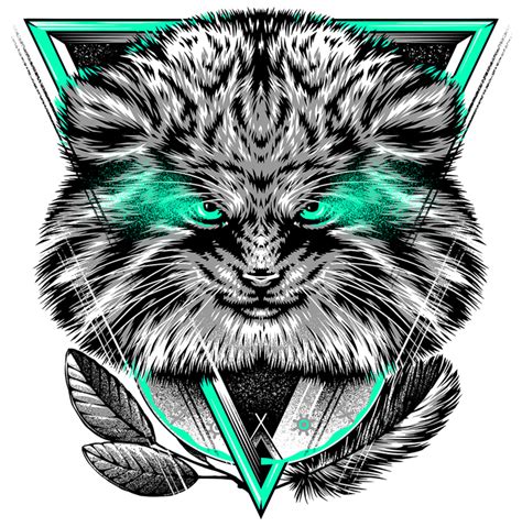 Манул | Пикабу