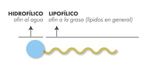 Tensioactivos qué son cómo funcionan y cómo identificarlos