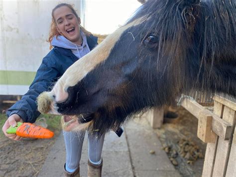 About » Red Piece Equestrian Center