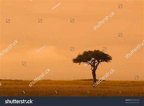 1,123 Sunset over savannah Images, Stock Photos & Vectors | Shutterstock