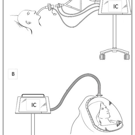 Indirect Calorimetry On Mechanically Ventilated Patient A And On