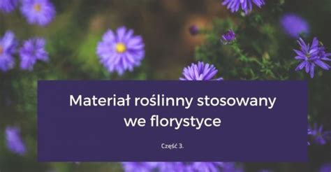 Nazwy Kwiat W Ci Tych We Florystyce Cz Blog Florystyczny