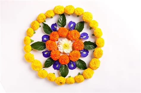 Dise O Del Rangoli De La Flor De La Maravilla Para El Festival De