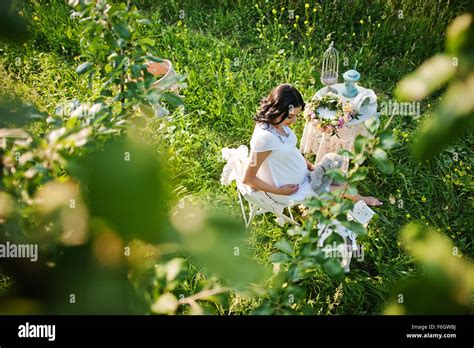 Pregnant Gorgeous Brunette Woman Stock Photo Alamy