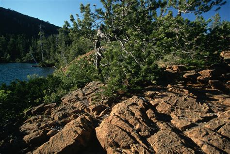 lemhi-pass - Idaho Pictures - Idaho - HISTORY.com