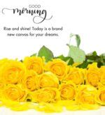 Beautiful Good Morning Yellow Rose Images November