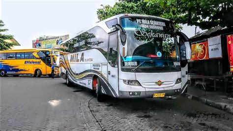 Mencoba Bangkit Di Jalur Patas Jogja Surabaya Jember Mila Sejahtera