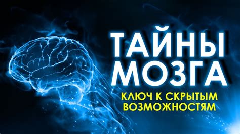 Все тайны человеческого мозга и как его обмануть? Ваш мозг и его ...