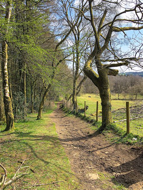 Caerphilly mountain snack bar reveals its secret recipe for success 5