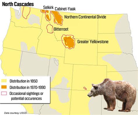 Welcoming Back Grizzlies Methow Valley Citizens Council