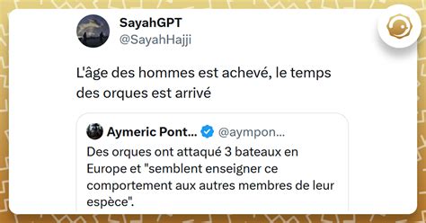 Top 17 des meilleurs tweets sur les orques elles dégomment des yachts