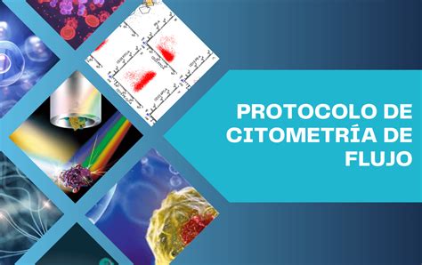 Protocolo De Citometr A De Flujo Abyntek Biopharma