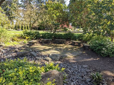 Evergreen Arboretum Seating Snohomishtalk