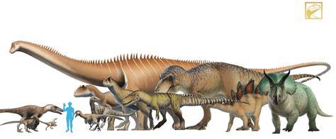 If You Ever Wonder Who D Win Between A T Rex Vs Allosaurus Carnotaurs Look At This By Fred The