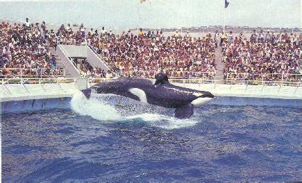 Marineland of the Pacific (site) - Rancho Palos Verdes, California